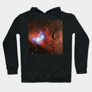 Pinning Down the Universe Hoodie